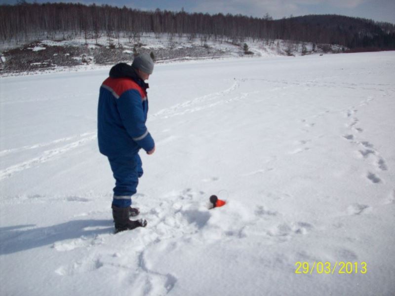 Slide Image