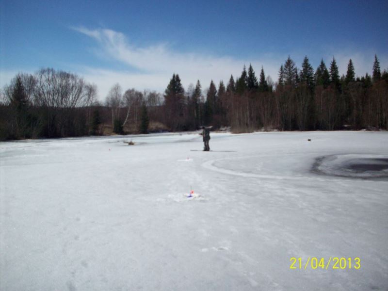Slide Image