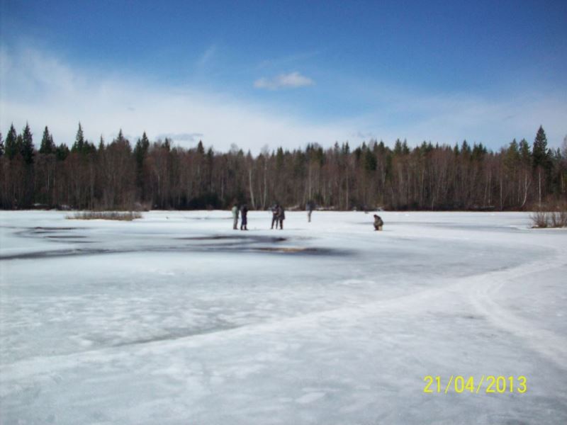 Slide Image
