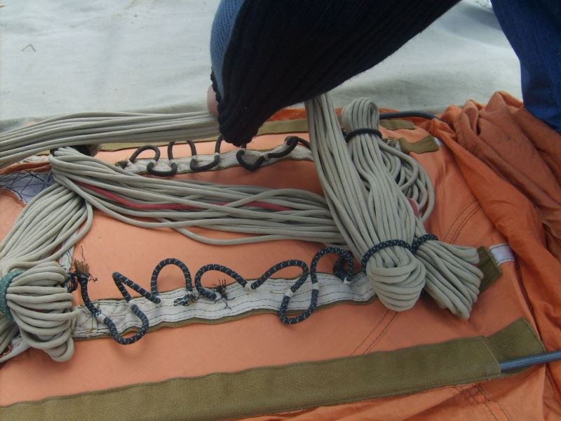 Slide Image