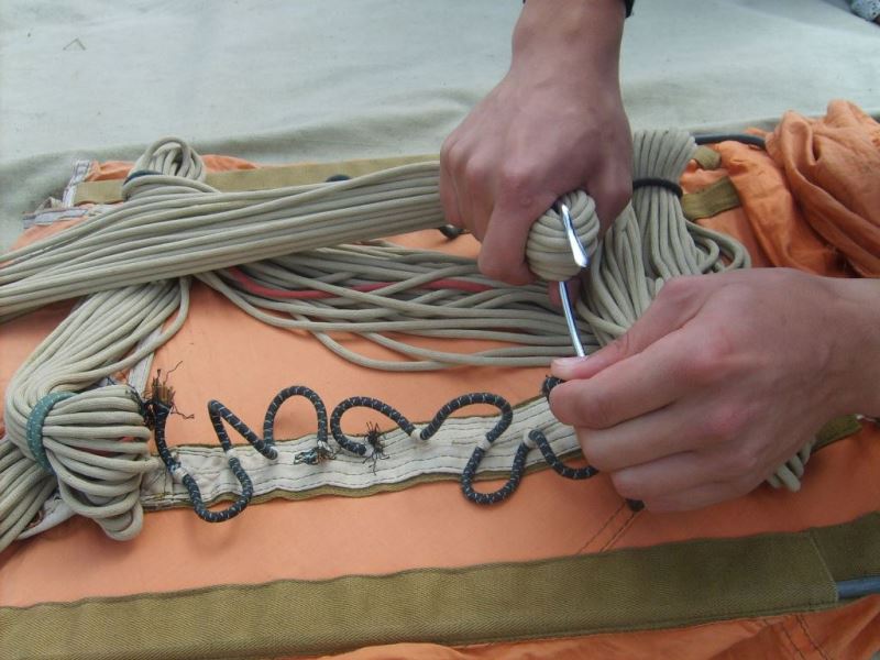 Slide Image